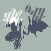 24 hodin OB štafety